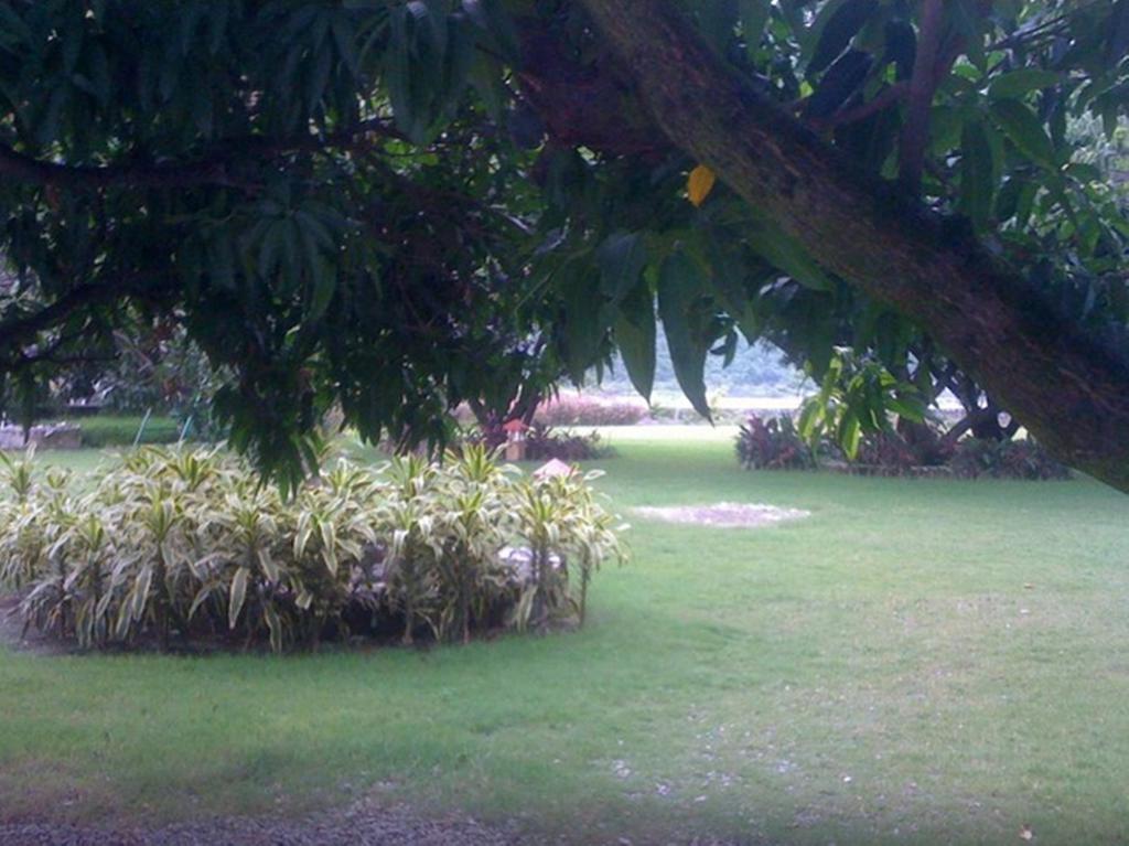 Dewdrop Mango Bloom Resort Nainital Værelse billede